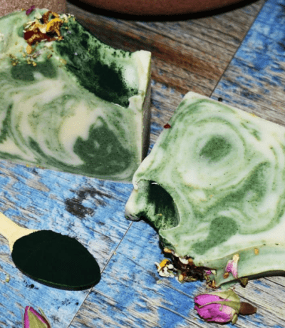 habitra savon naturel a la spiruline 120gr