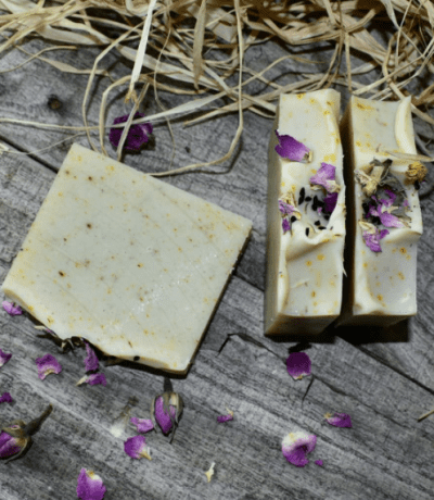 habitra savon naturel exfoliant d aragne 120gr