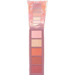 ESSENCE PALETTE HIGHLIGHTER&amp;BLUSH &nbsp;&raquo; PEACHY BLOSSOM &laquo;&nbsp;